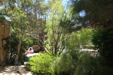Enlarge photo 32