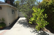 Enlarge photo 17