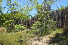 Enlarge photo 25