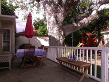 Enlarge photo 6