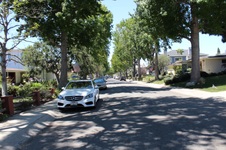 Enlarge photo 49