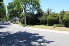 Enlarge photo 43
