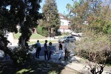 Enlarge photo 61