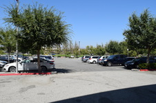 Enlarge photo 102