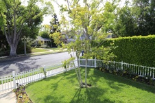Enlarge photo 24