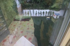 Enlarge photo 99