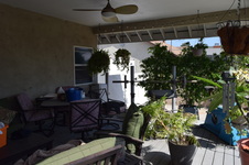 Enlarge photo 35