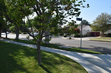 Enlarge photo 15
