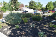 Enlarge photo 13