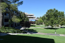 Enlarge photo 61