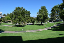 Enlarge photo 62