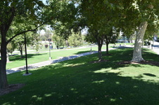 Enlarge photo 65