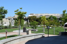 Enlarge photo 82