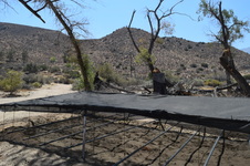 Enlarge photo 40