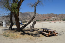 Enlarge photo 43