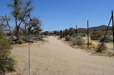 Enlarge photo 46