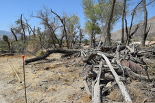 Enlarge photo 51