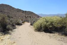 Enlarge photo 52