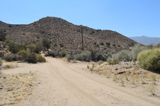Enlarge photo 54