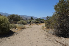 Enlarge photo 55