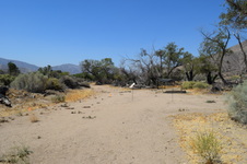 Enlarge photo 56