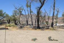 Enlarge photo 57