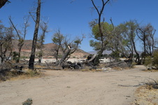 Enlarge photo 58