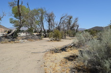 Enlarge photo 59