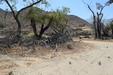 Enlarge photo 63