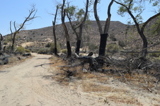 Enlarge photo 64