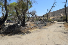 Enlarge photo 65