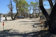 Enlarge photo 66