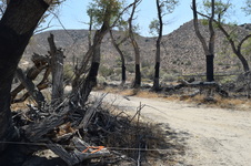 Enlarge photo 67