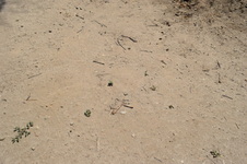 Enlarge photo 68