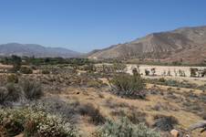 Enlarge photo 70