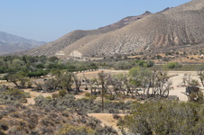Enlarge photo 71