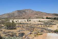 Enlarge photo 72