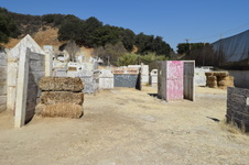 Enlarge photo 50