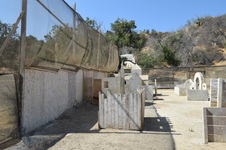 Enlarge photo 51