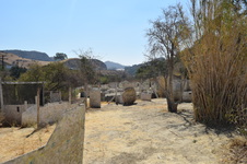 Enlarge photo 64