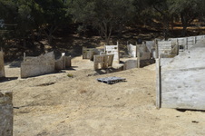 Enlarge photo 66