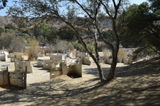 Enlarge photo 71