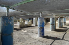 Enlarge photo 97