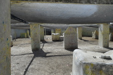 Enlarge photo 102