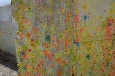 Enlarge photo 107