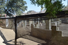 Enlarge photo 112