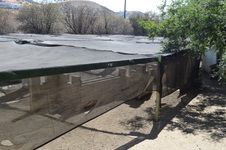 Enlarge photo 113