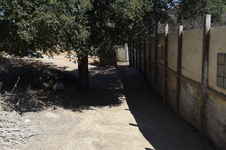 Enlarge photo 115
