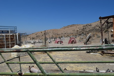 Enlarge photo 57
