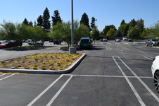 Enlarge photo 31
